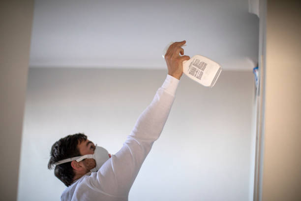 Best Home Mold Removal  in Evergreen, AL