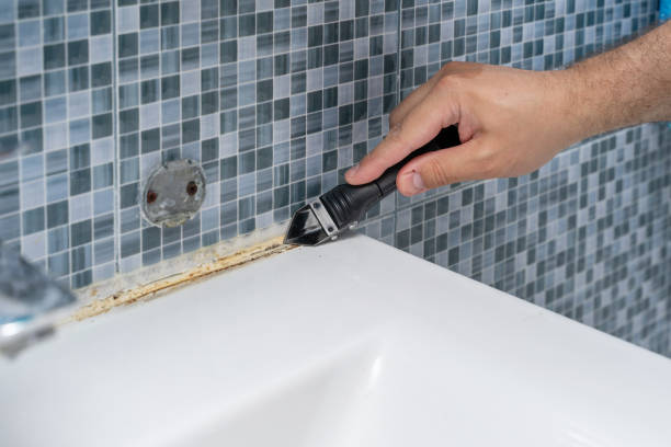 Best Residential Mold Removal  in Evergreen, AL